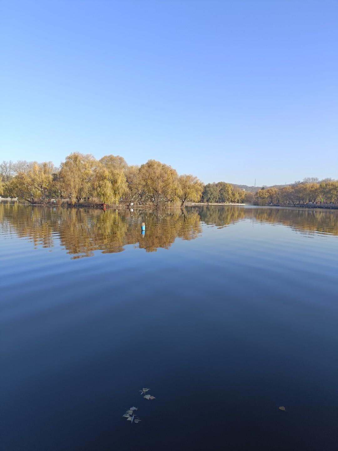 晒图笔记大赛这一组是鞍山的二一九公园