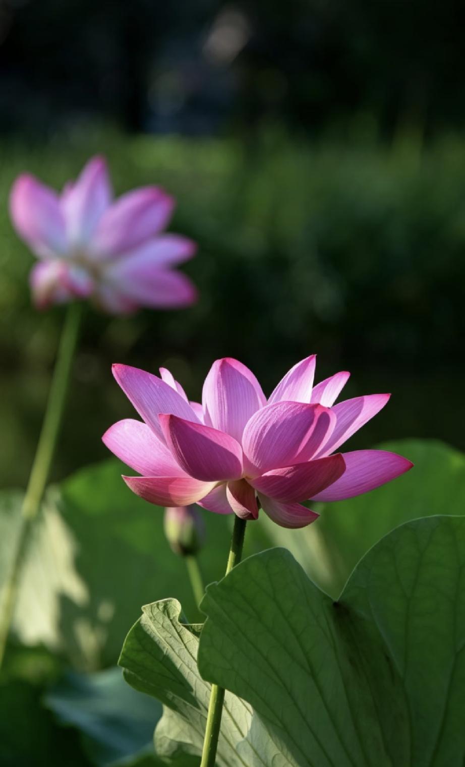 一位著名性学专家提醒：“最好不要去找喜欢户外运动的女人做老婆，小心让你肠子悔青都