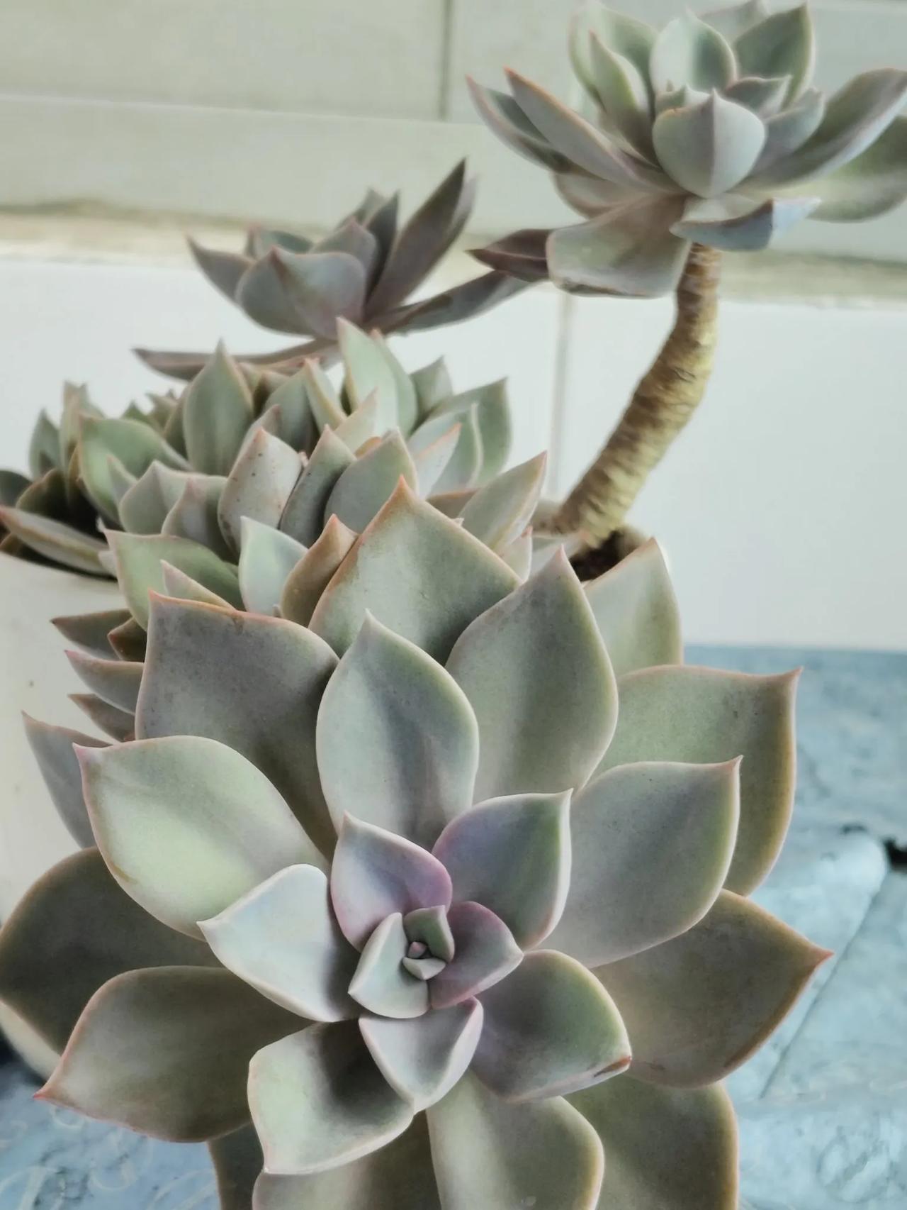 我们总要做点什么，总要热爱点什么。