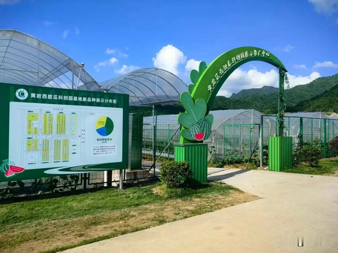 台州黄岩再添国字号平台！继柑橘科技小院之后，黄岩成功建成国家级甜瓜科技小院，成为