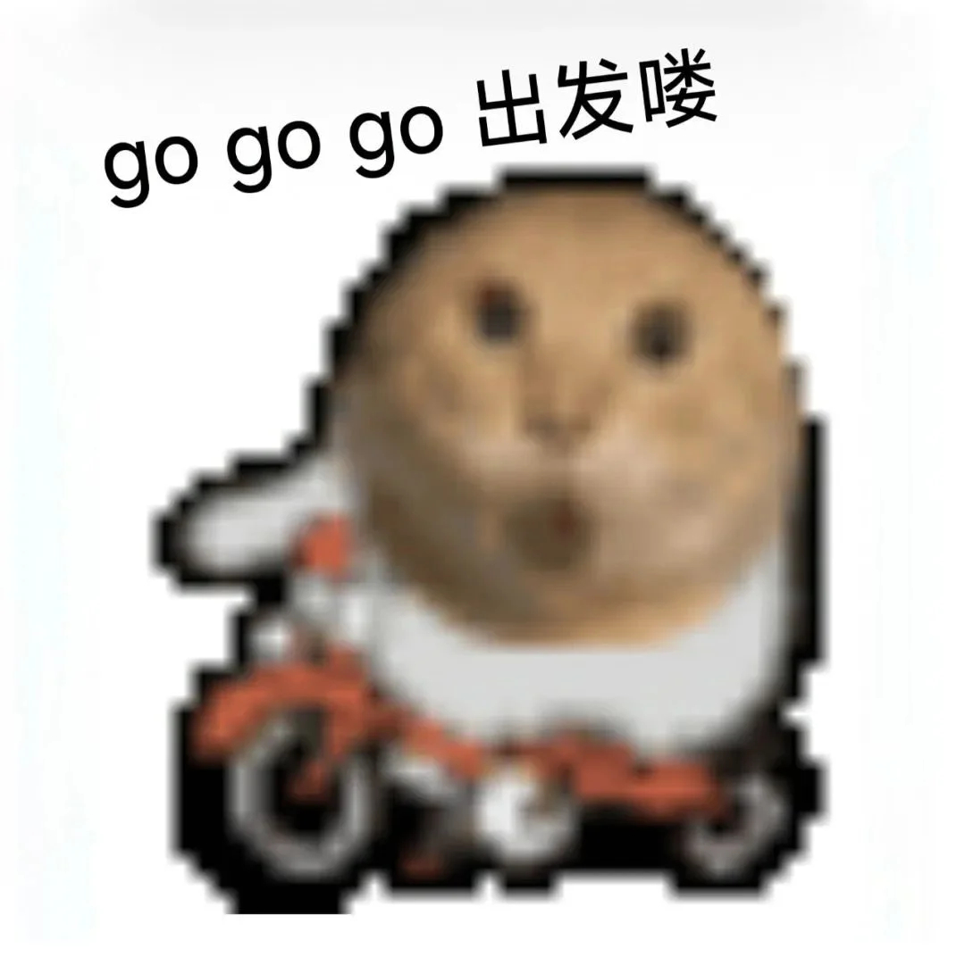 旅行过度打包的朋友 我感觉我就是过度打包的那种人，真的，感觉都能用得上，实际上大