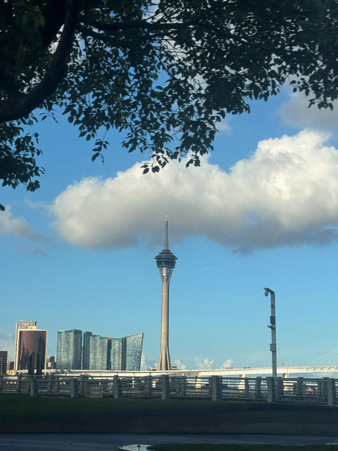 被好天气唤醒快乐细胞