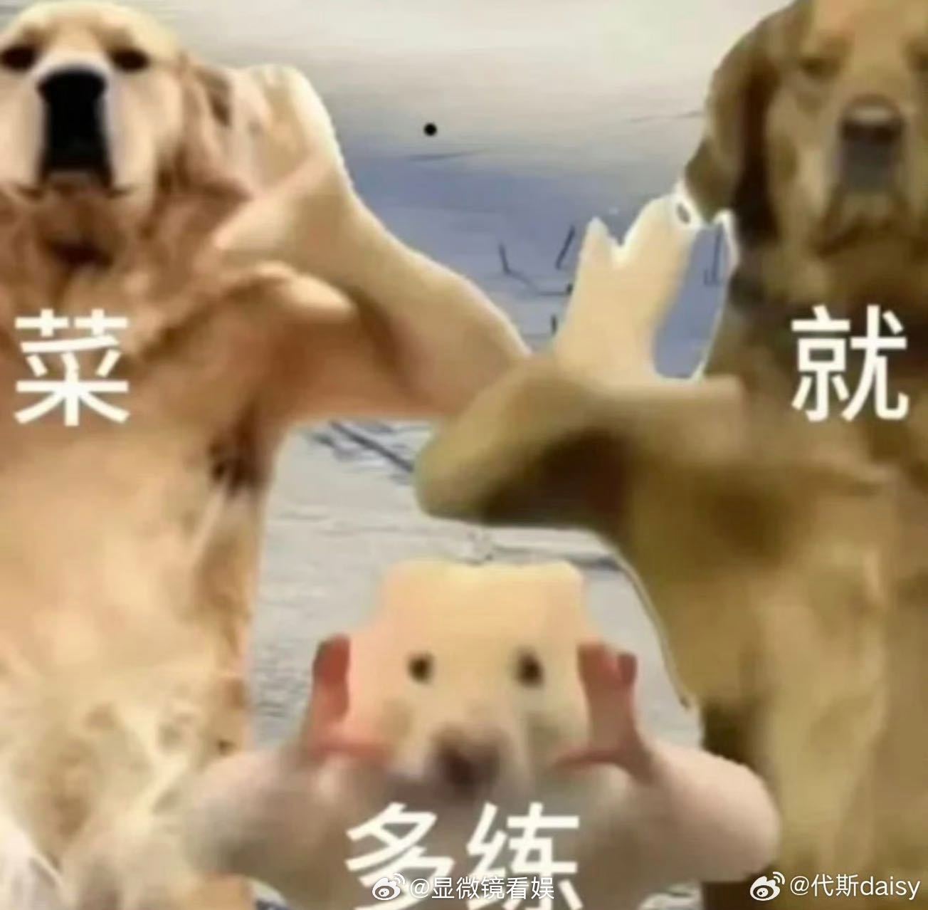 代斯 菜就多练代斯准备浪姐舞台的一周 代斯浪姐训练碎片🈶认真搞事业的样子超迷人