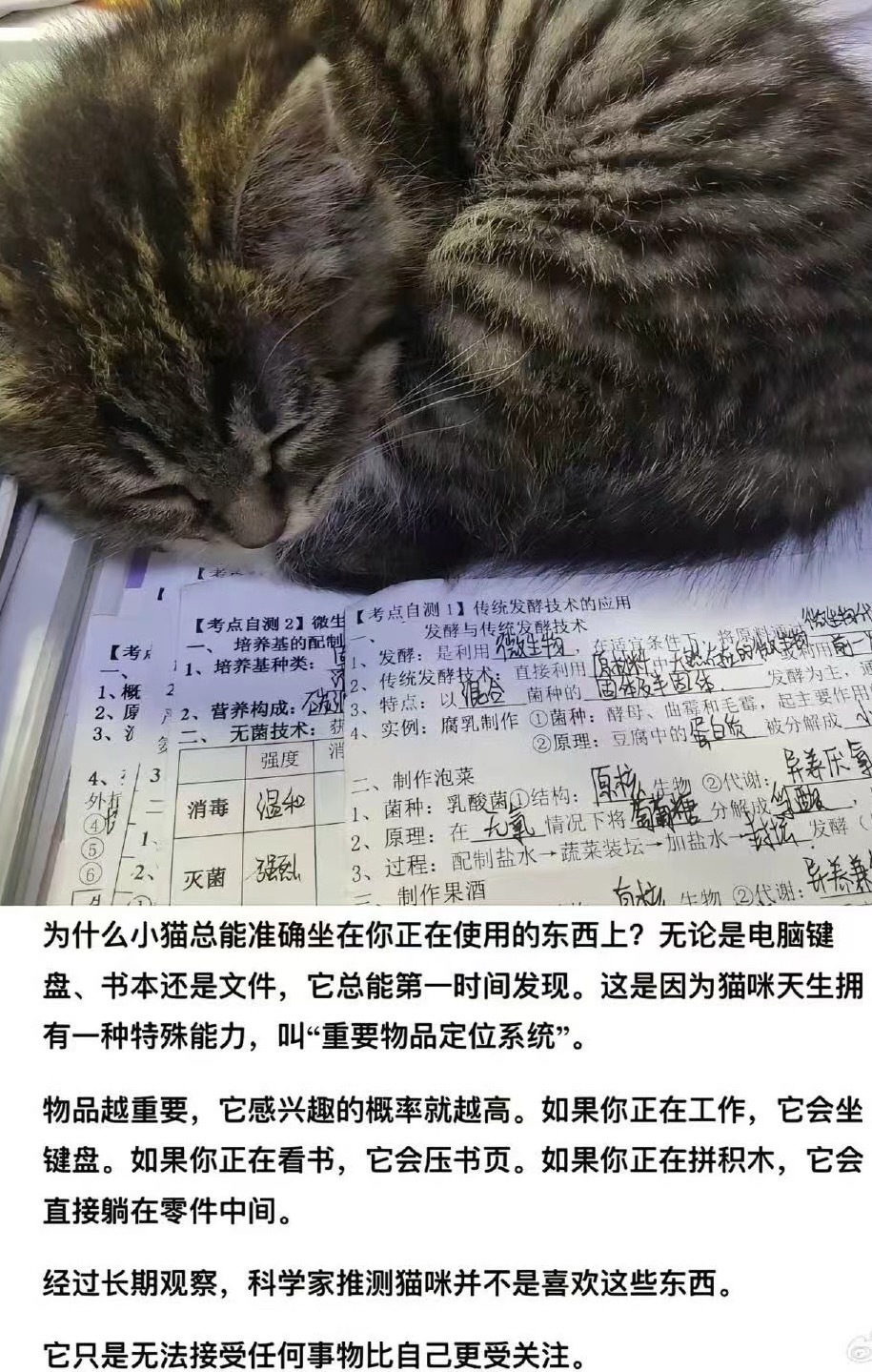 一心： 
