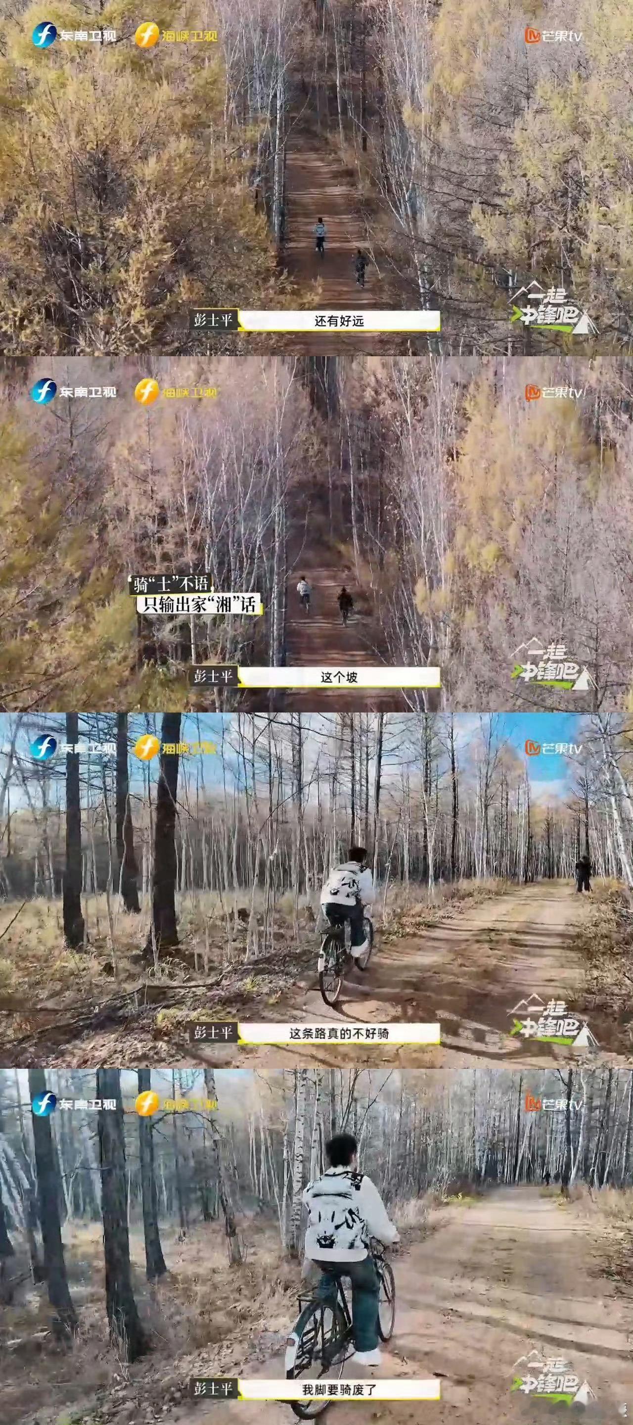 都说要整老板只有芒果听进去了 芒果新节目玩很大！让年轻老板在原始森林自力更生，缺