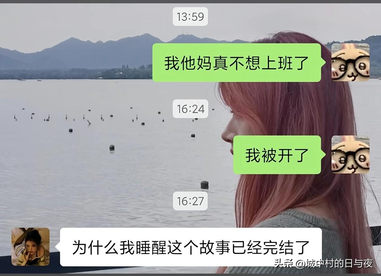 在最想辞职的时候被辞退简直爽的不行了