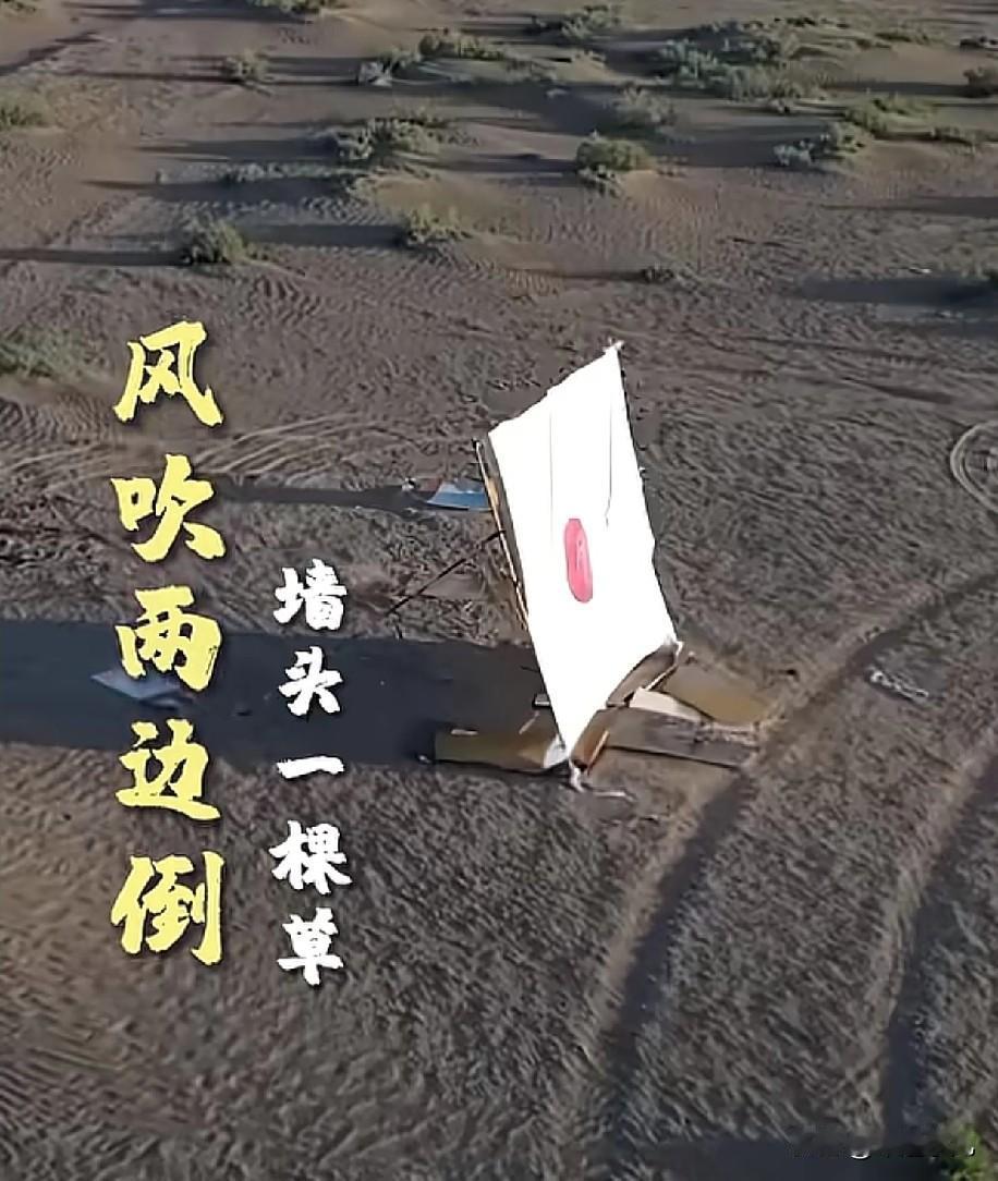 这靶标，设置的一点毛病没有，年轻的士兵渴望建立功勋！

之前，一次的实战演训画面