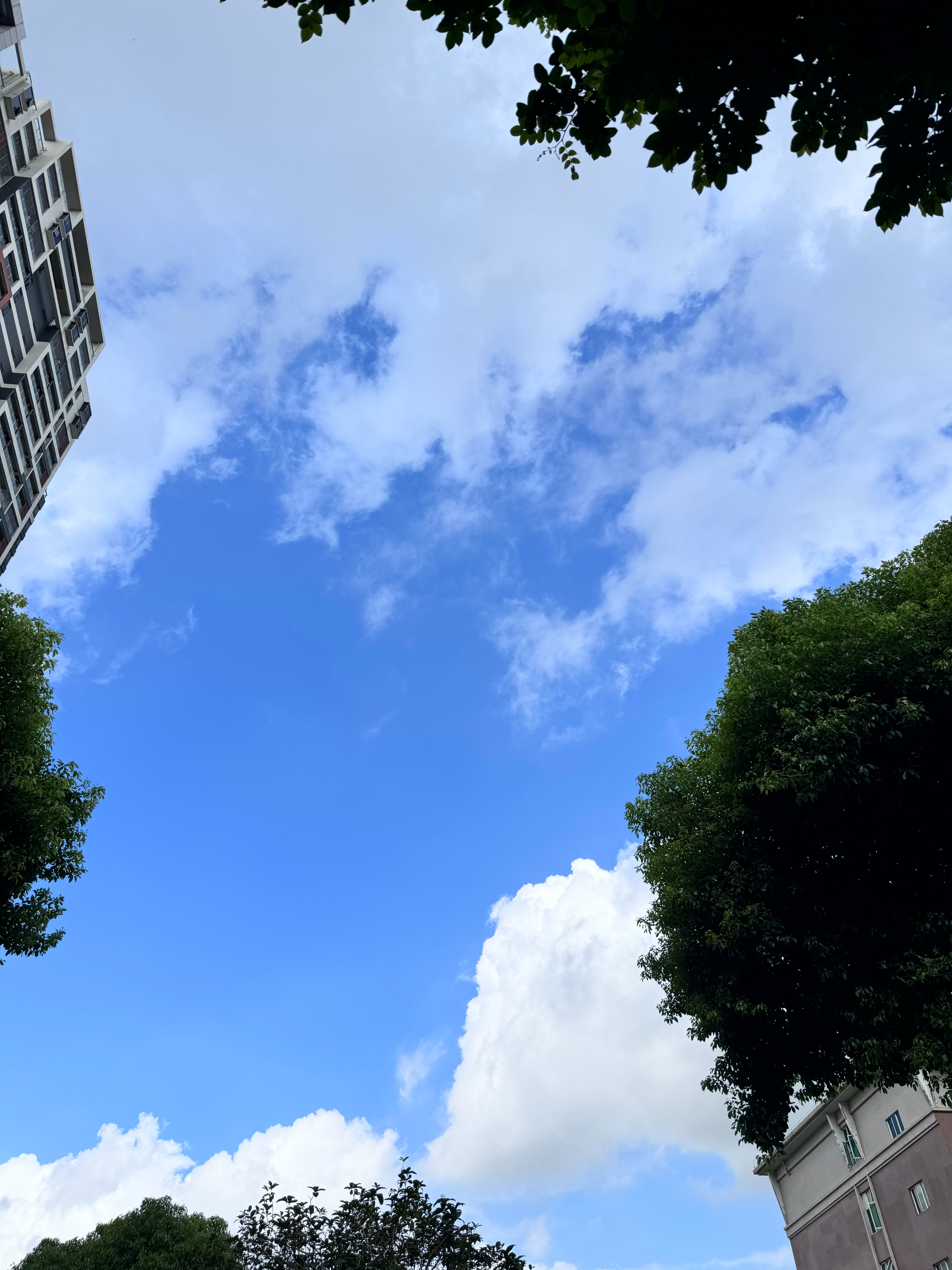刚开始：哇好漂亮！五分钟后：准备下雨了[允悲] ​​​