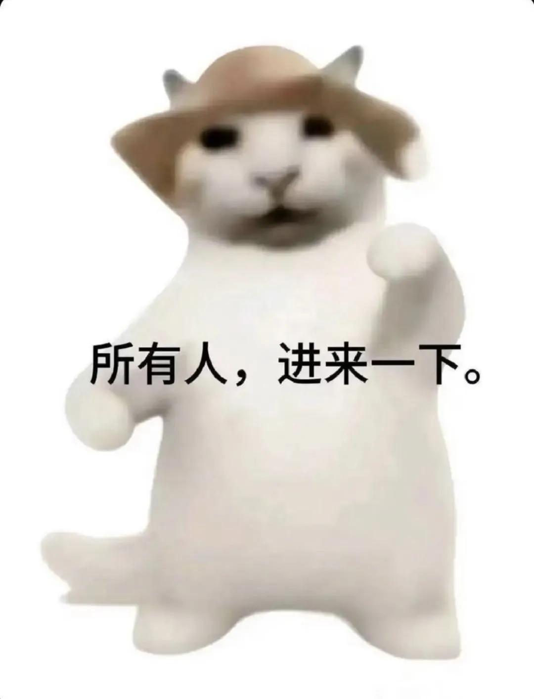 所有人，进来一下