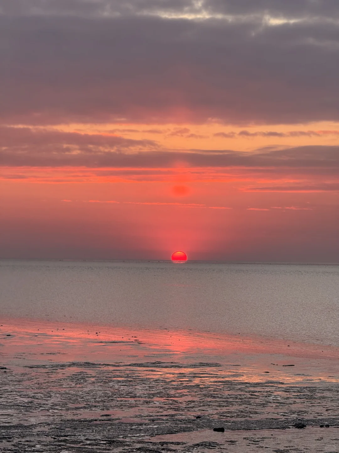 今天又被营口给浪漫到了