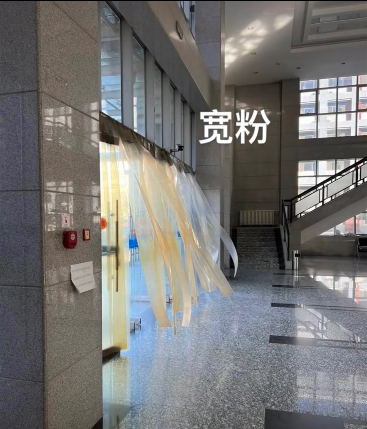 善于观察 世界就会变得可可爱爱 ​​​