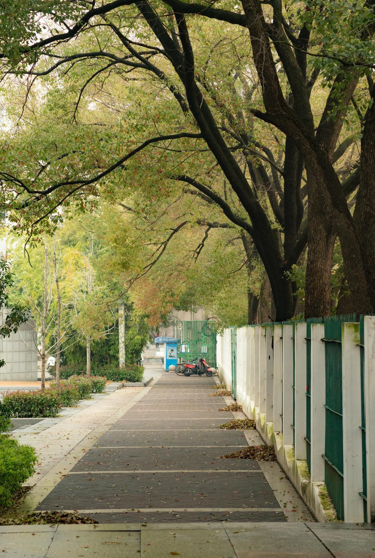 矿冶初心，六十七载薪火相传；
笃行致远，万千学子逐梦扬帆；
八角塘边，见证青春拔