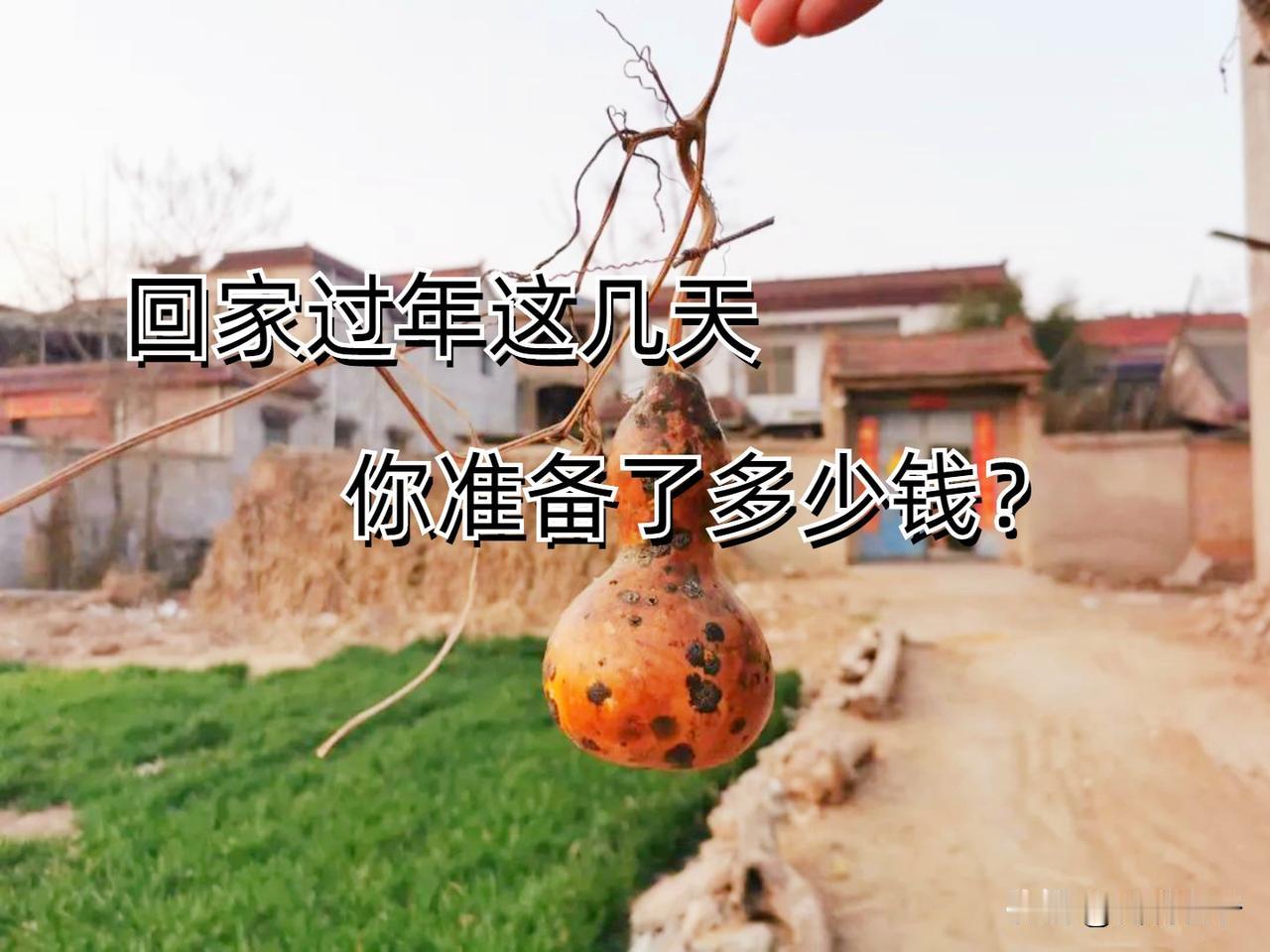#万能生活指南#今年过年回家，你准备了多少钱？
老话都说：有钱没钱，回家过年！
