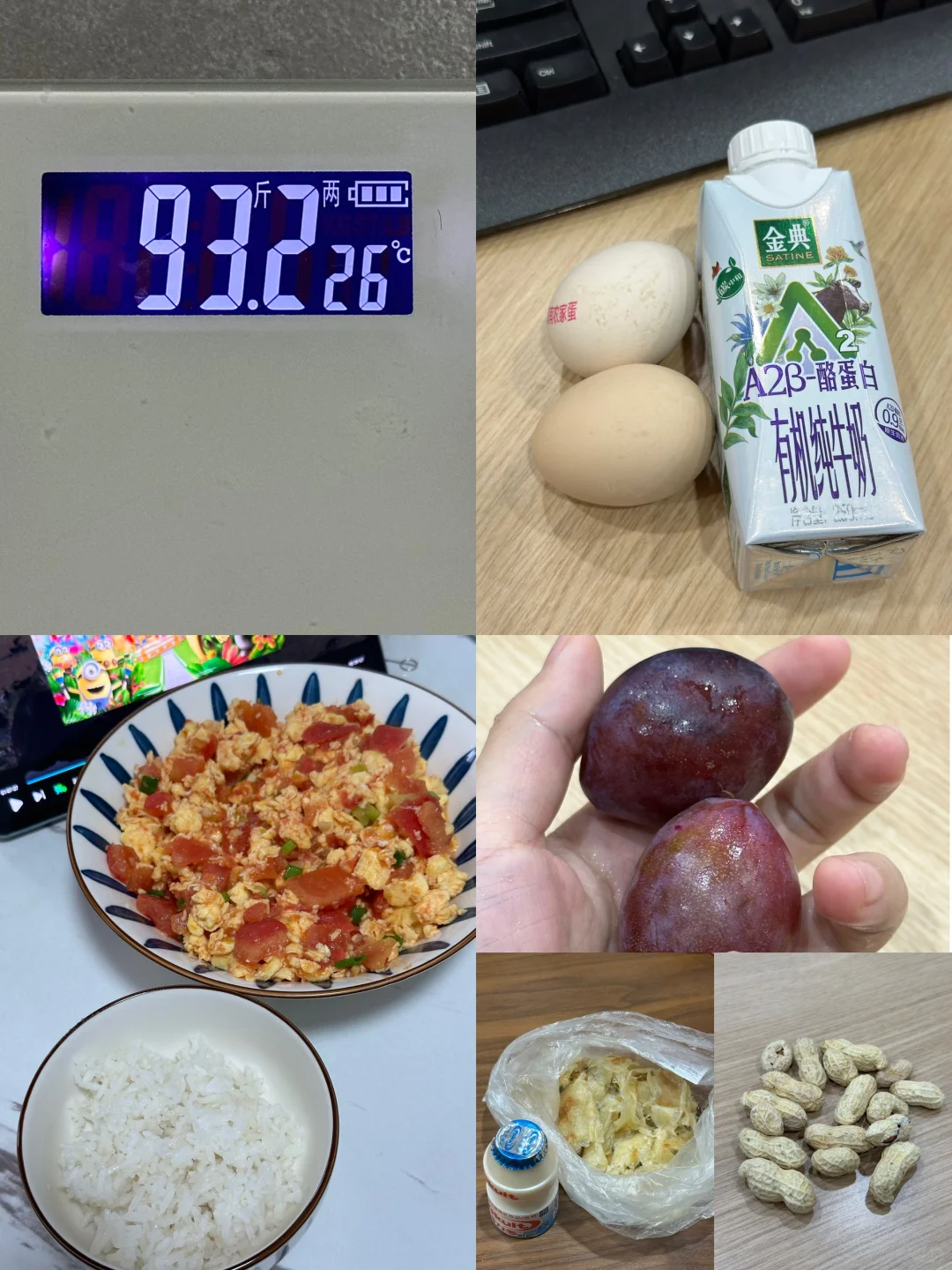 4.20｜100-92，狠人减肥重启第62天