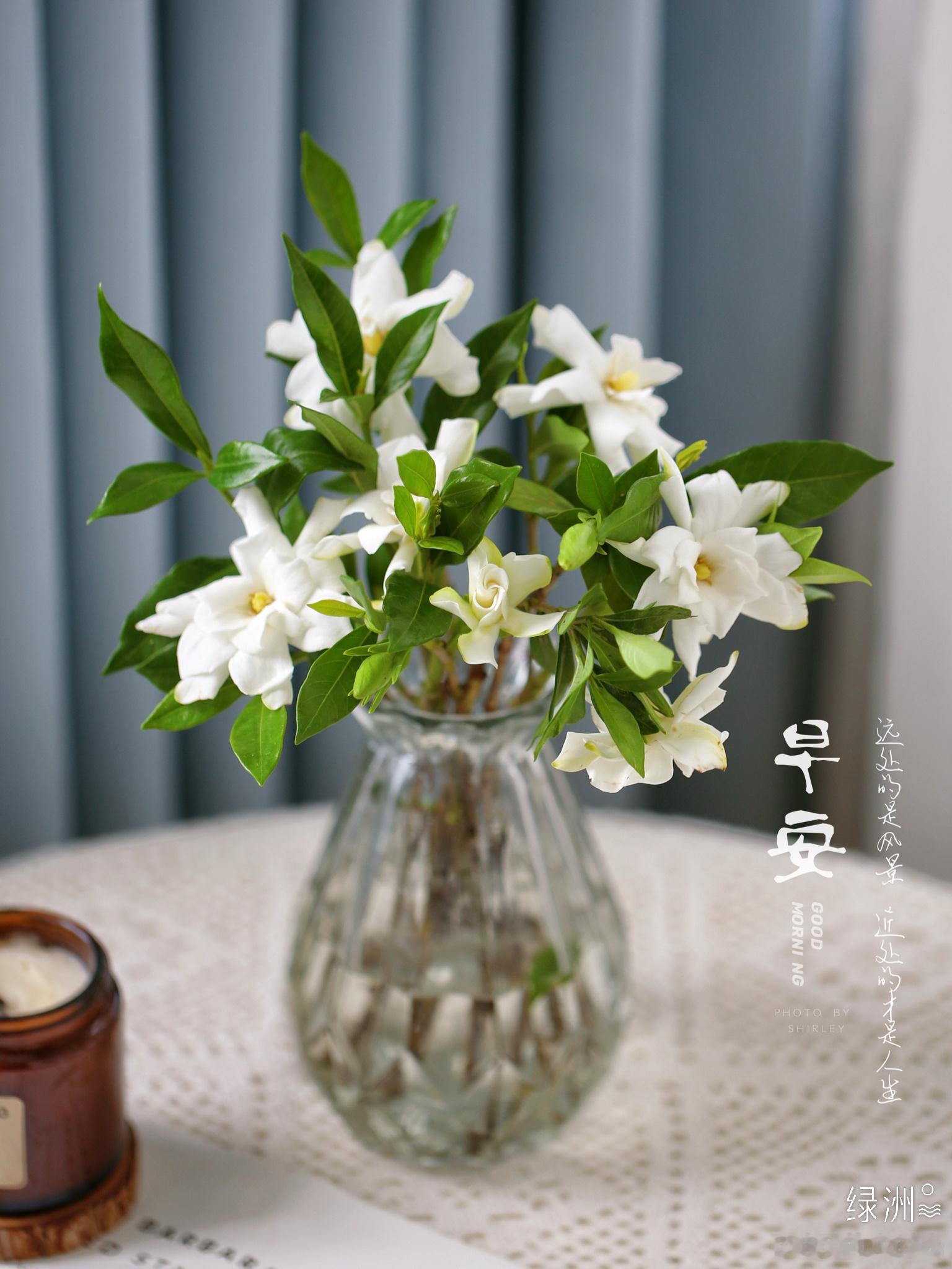 我的早餐日记7.30 用照片记录生活 生活需要仪式感 元气满满的早餐 周四早安～