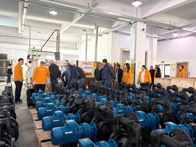 欧洲客户实地甄选 边锋隔膜泵领跑进口泵替换新赛道