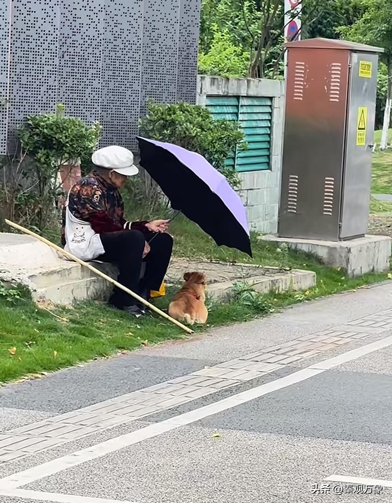 路上偶遇一老人，一个人坐了一下午 小时候一直不理解，老人为什么总喜欢一个人在村口