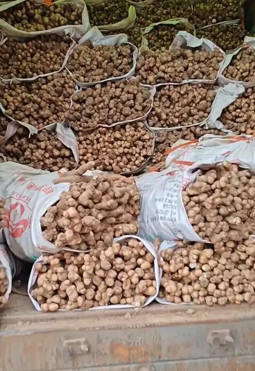 司机有异议
既然享受绿通的农副产品有着详细的目录，这个问题就不应该存在争议，有规