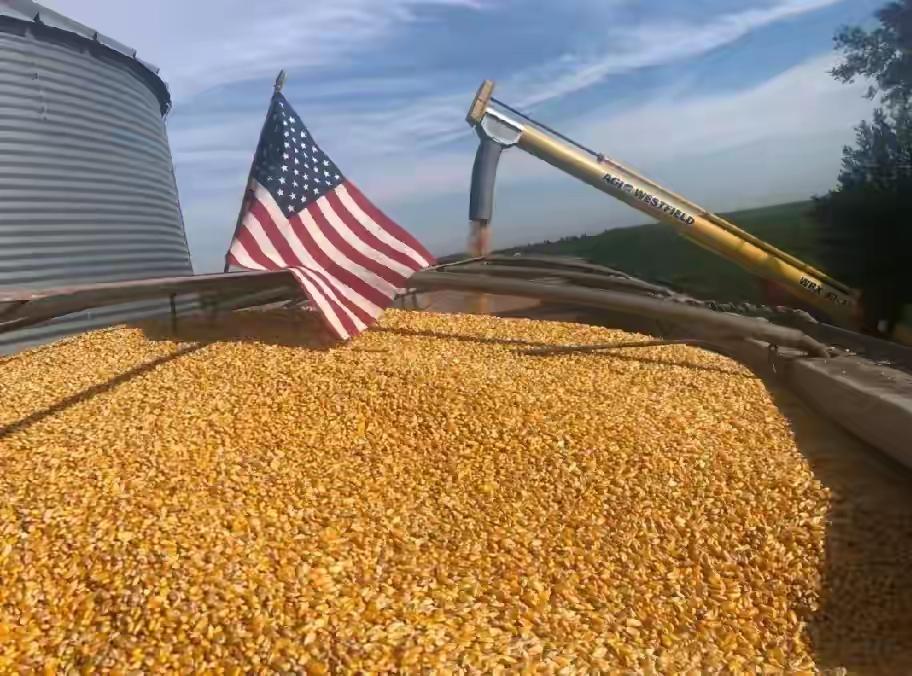 我们来用一个通俗易懂的方式来解释这个问题。
您可以把美国和巴西想象成两个卖大豆的