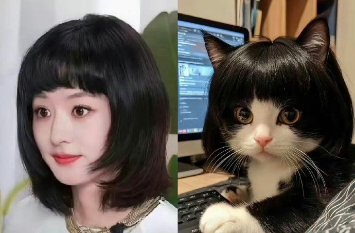 猫塑赵丽颖赵丽颖新发型猫塑 赵丽颖新发型猫塑 