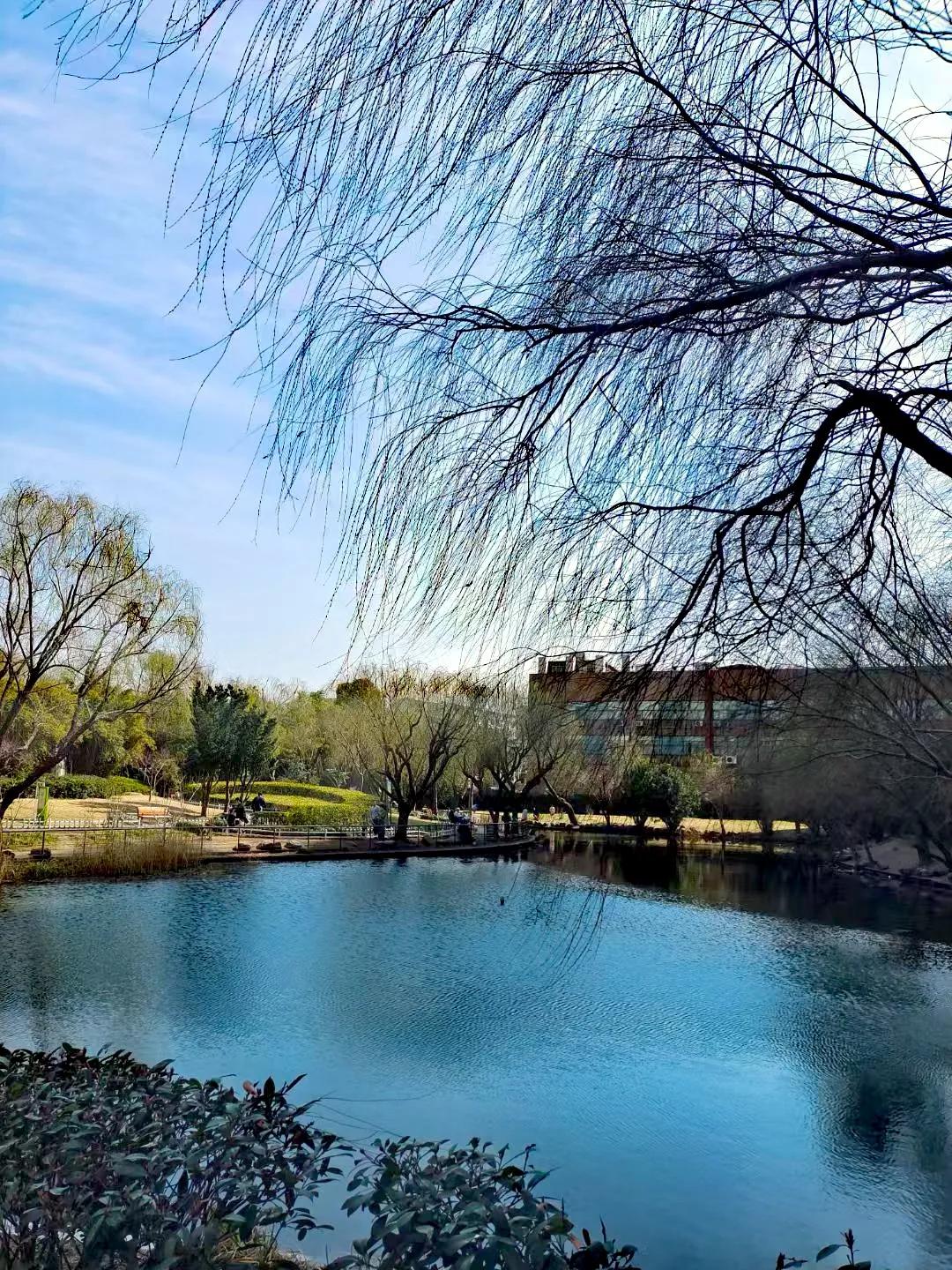 《山高水长，邂逅诗意江南》
在江南，山似水墨画卷，水如灵动诗篇，每一处风景都藏着