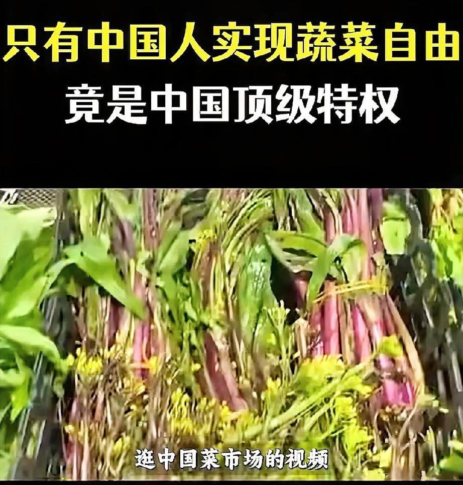 问你个问题，你觉得吃蔬菜算不算特权？
绝大多数中国人听到这话，第一反应肯定是：这
