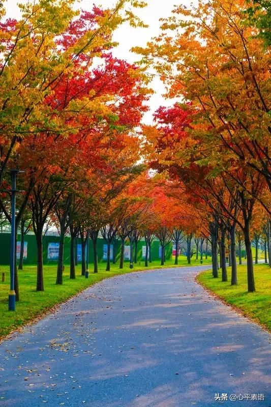 有位十几年资深股民说：
这轮牛市是个死局，
散户必死的局，
能全身而退挣到收益的