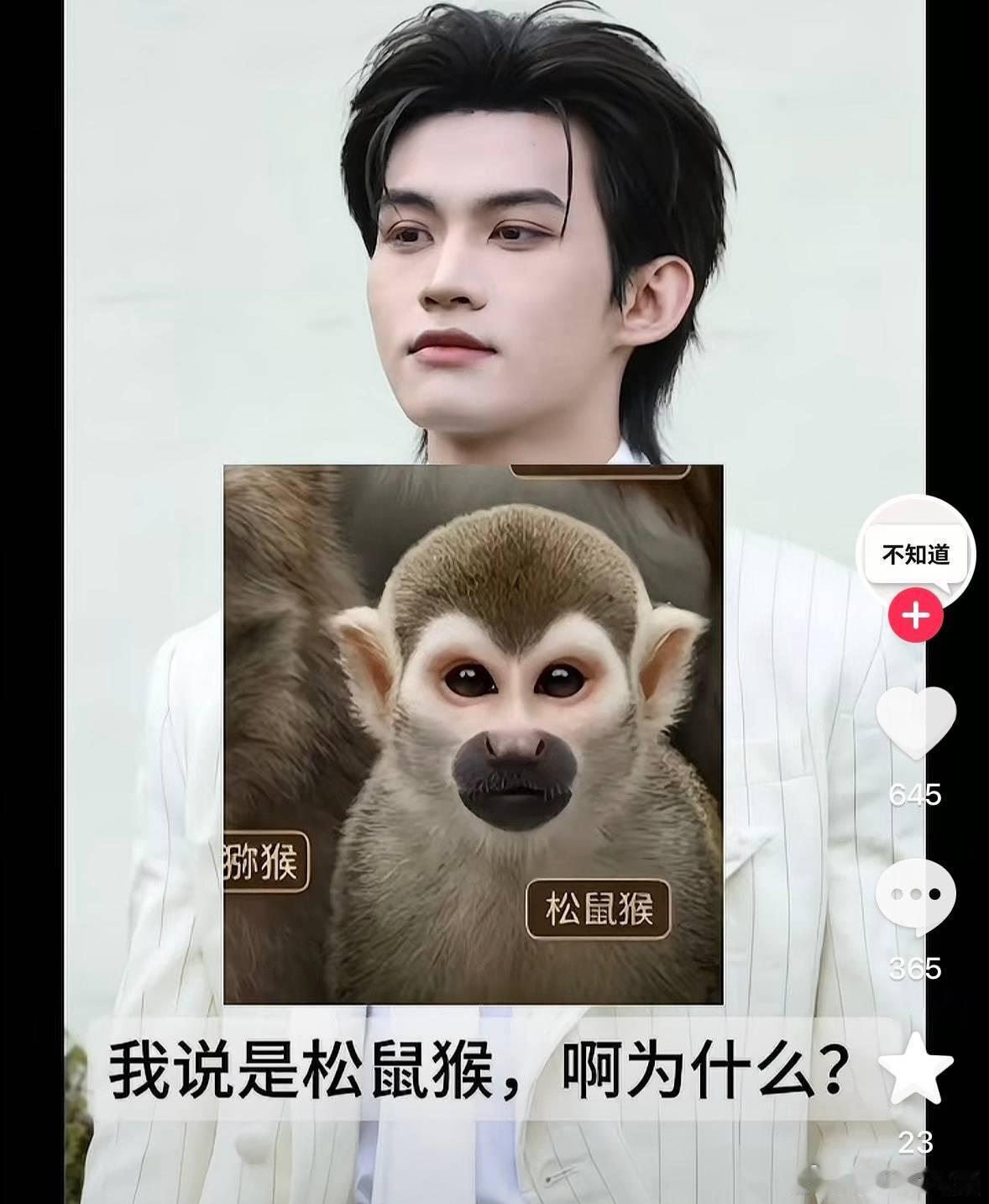 笑得我肚子疼