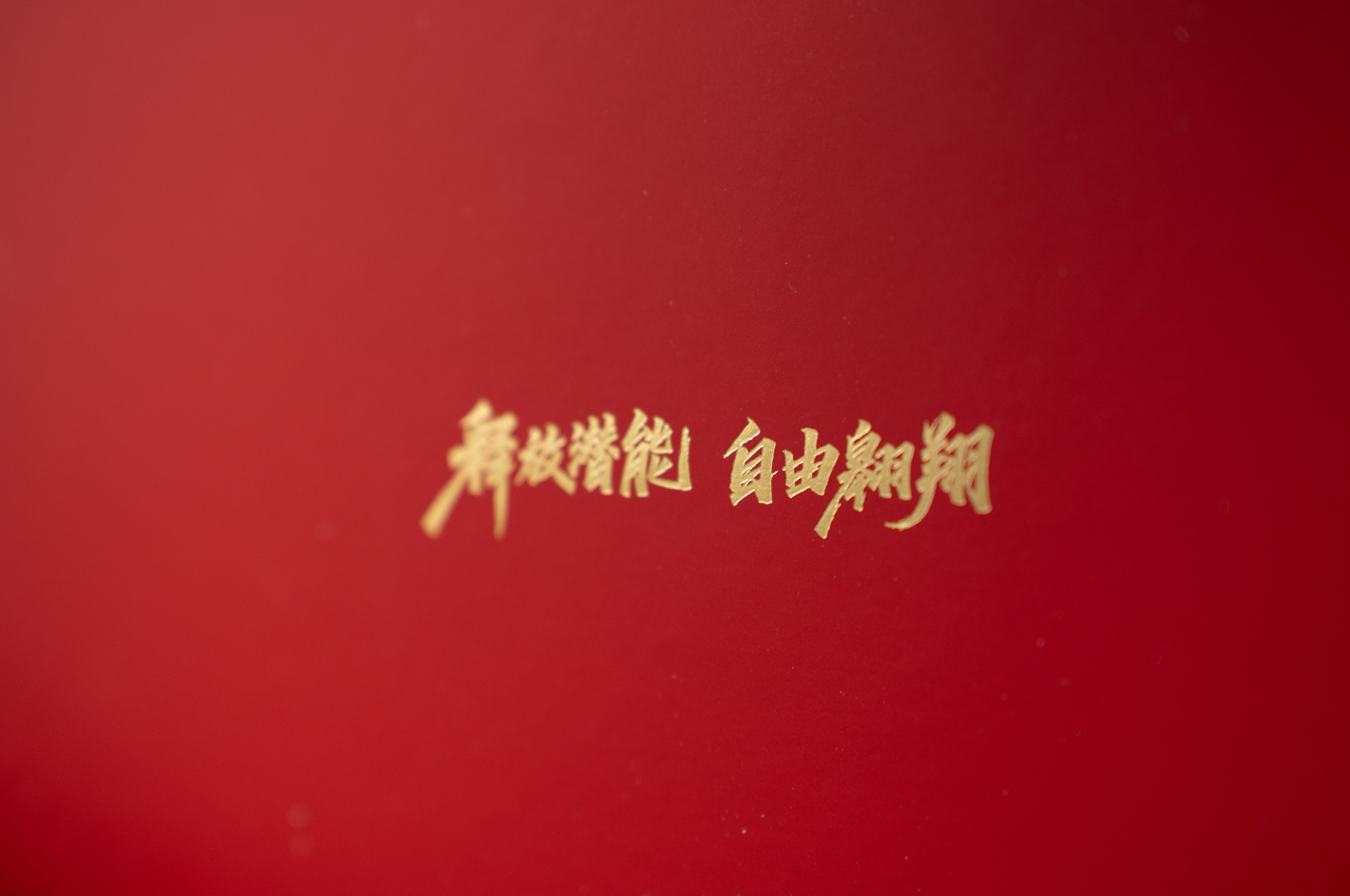 荣耀2026新春礼盒开箱来了！除了红包，黄金手机挂绳等外，还有一款荣耀亲选耳夹耳