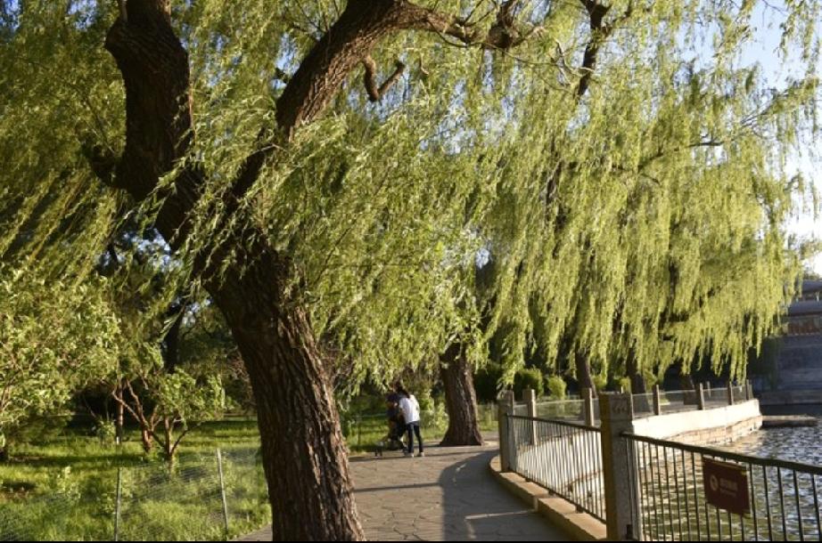 8号那天去取眼镜的时候，风刮的特别大，那天的风，都说能八级到九级呀。
     