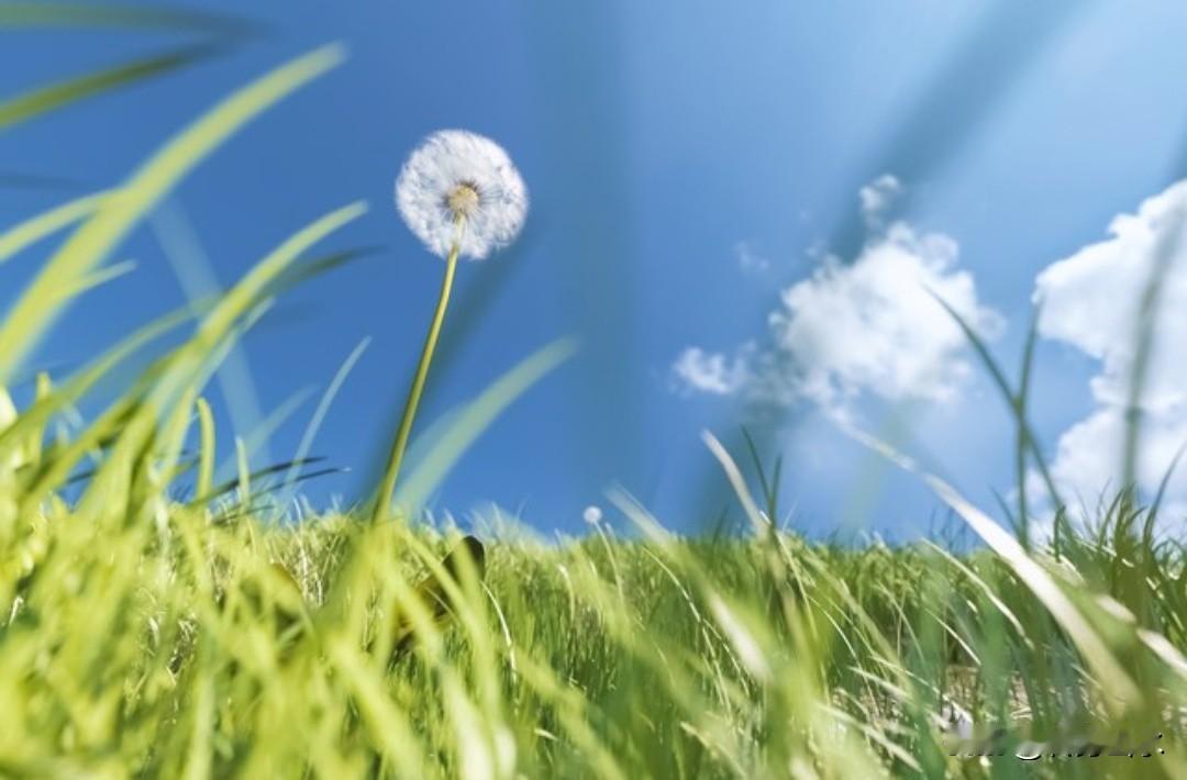 直到现在我才明白，自己才是最该守护的那座花园。

清晨醒来，先听听身体想吃什么，