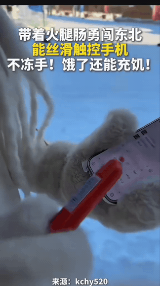 还得是网友！南方土豆去东北游玩，戴的手套，帽子，口罩，整个人捂的严严实实，一出门