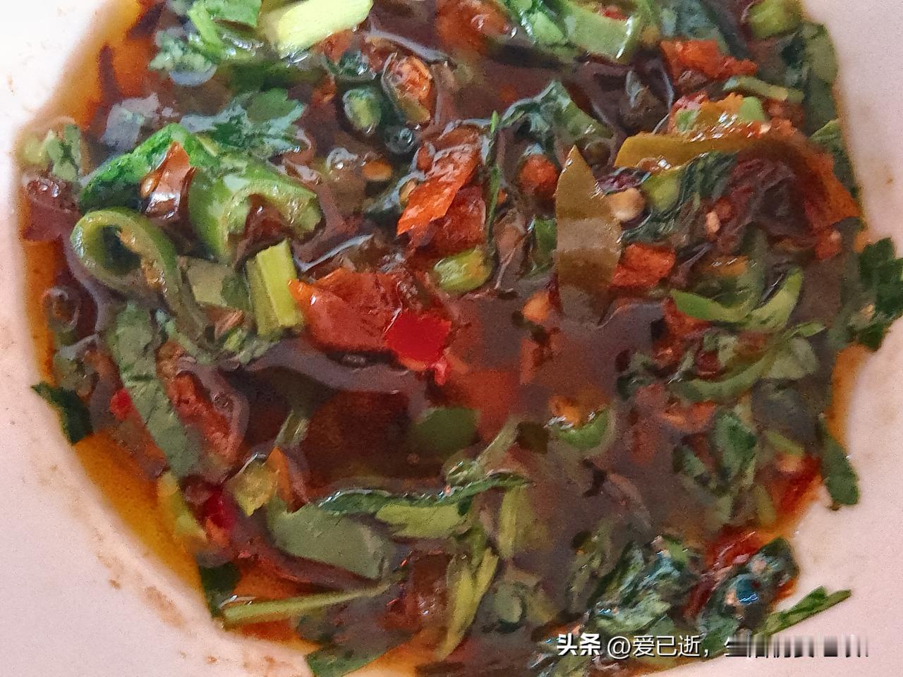 发一张你相册里最好看的图片德宏州的独树成林景区，一个景区就是一棵遮天蔽日的大榕树