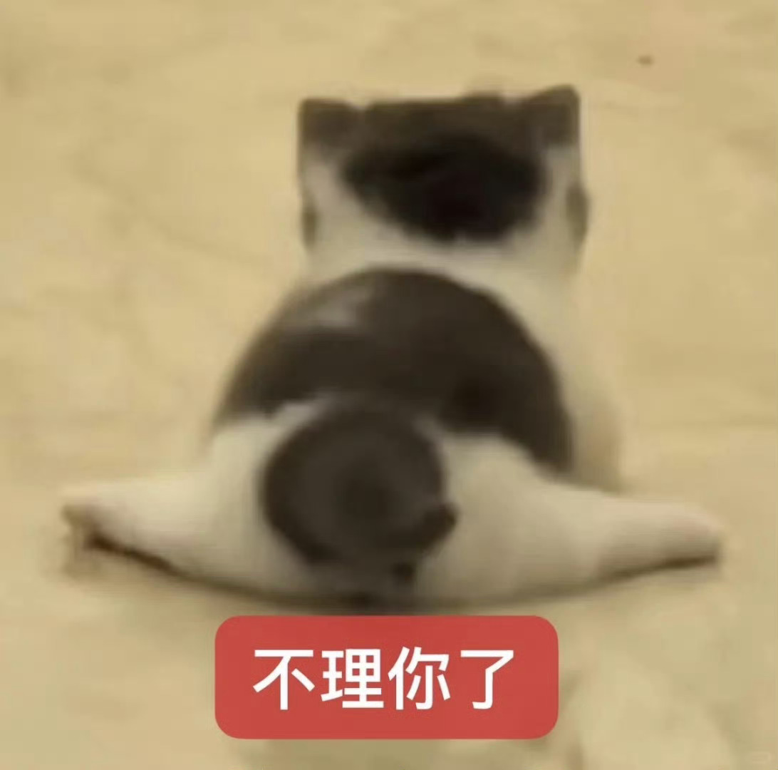 早上我还睡得迷迷糊糊 狗子哥已经洗漱完出去准备走了 就听见好大儿一声好嘹亮的“霸