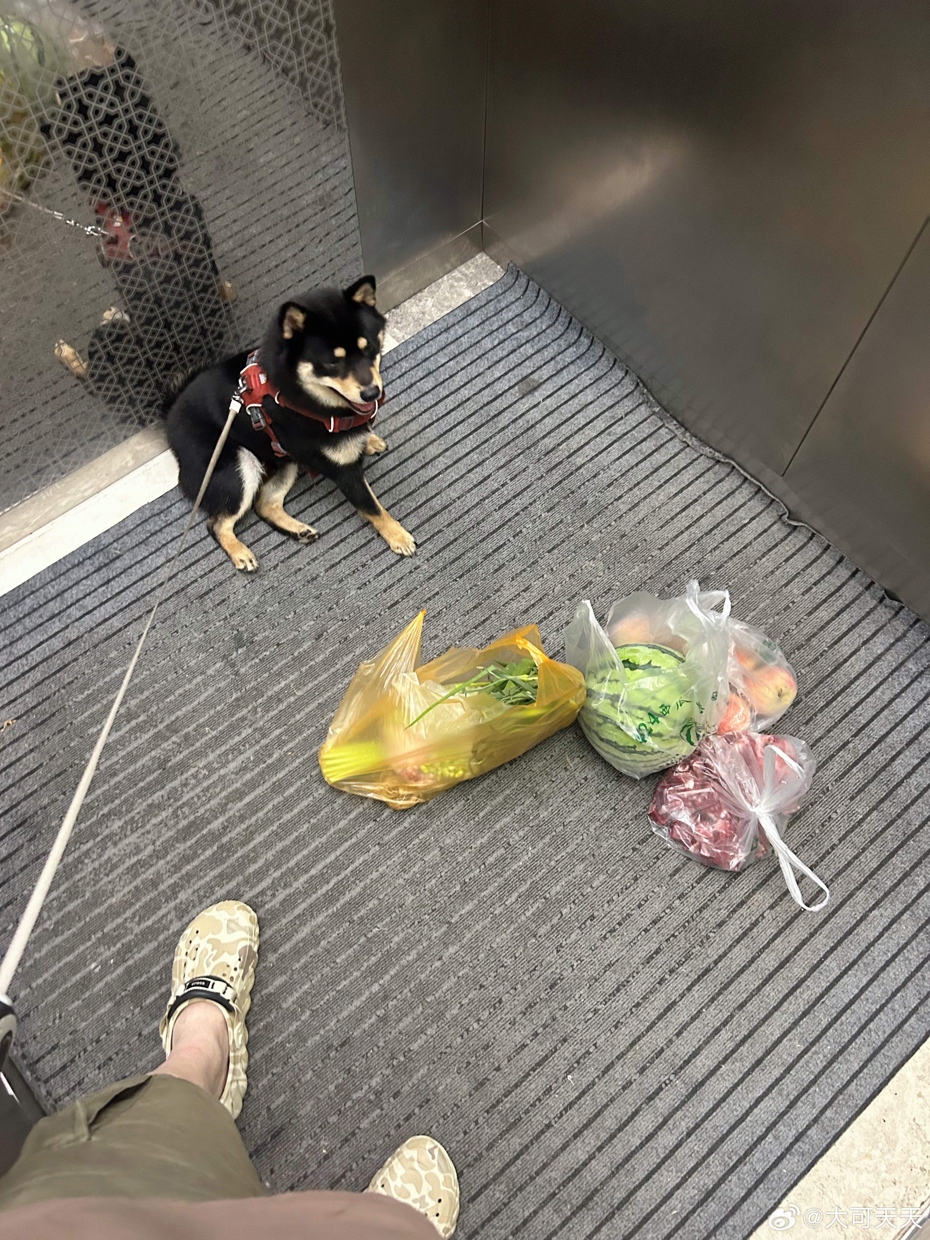 打猎回来了