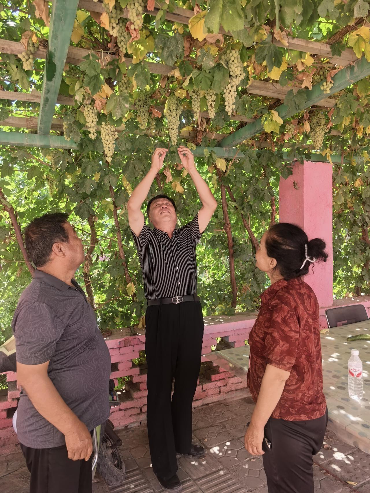中亚的人种实在太复杂了
 
翻开中亚的历史，会发现这片土地很难用简单的人种标签概