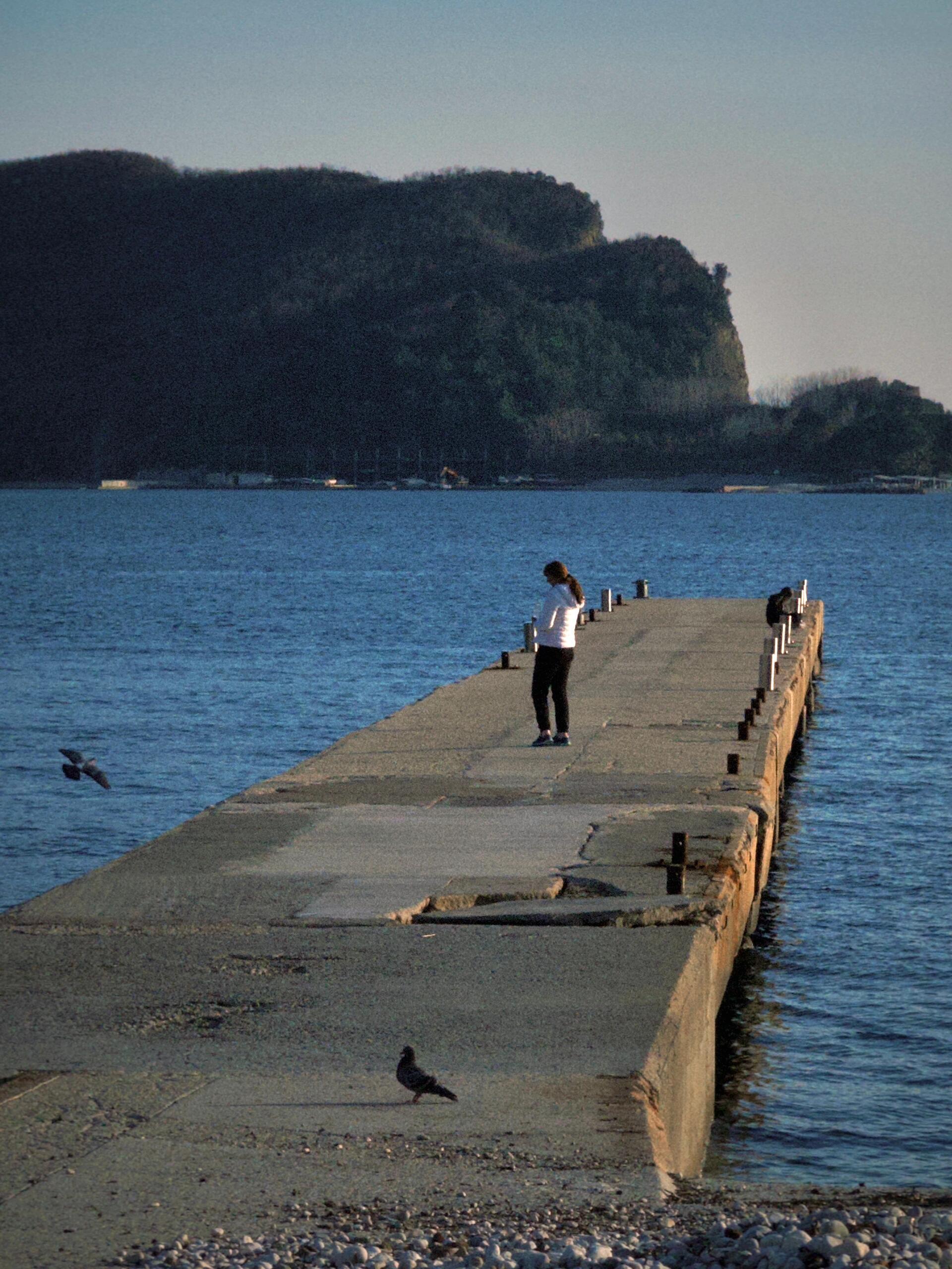 自古以来，幸福和伟大，常不两得，自由与安全，亦无法两全。｜李一冰《苏东坡新传》 