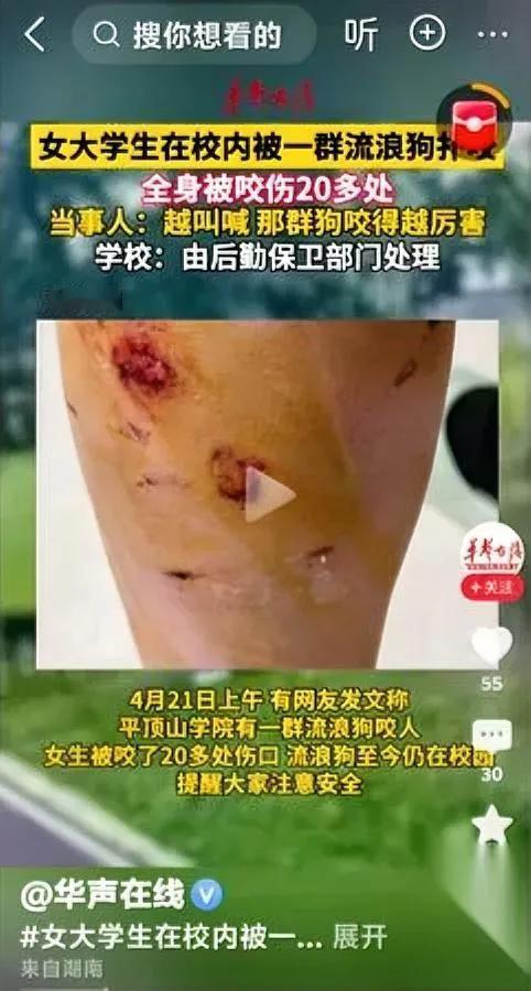 真的要被气笑了

这叫什么事儿啊

平顶山学院大三女生好好走在路上，平白被四五只