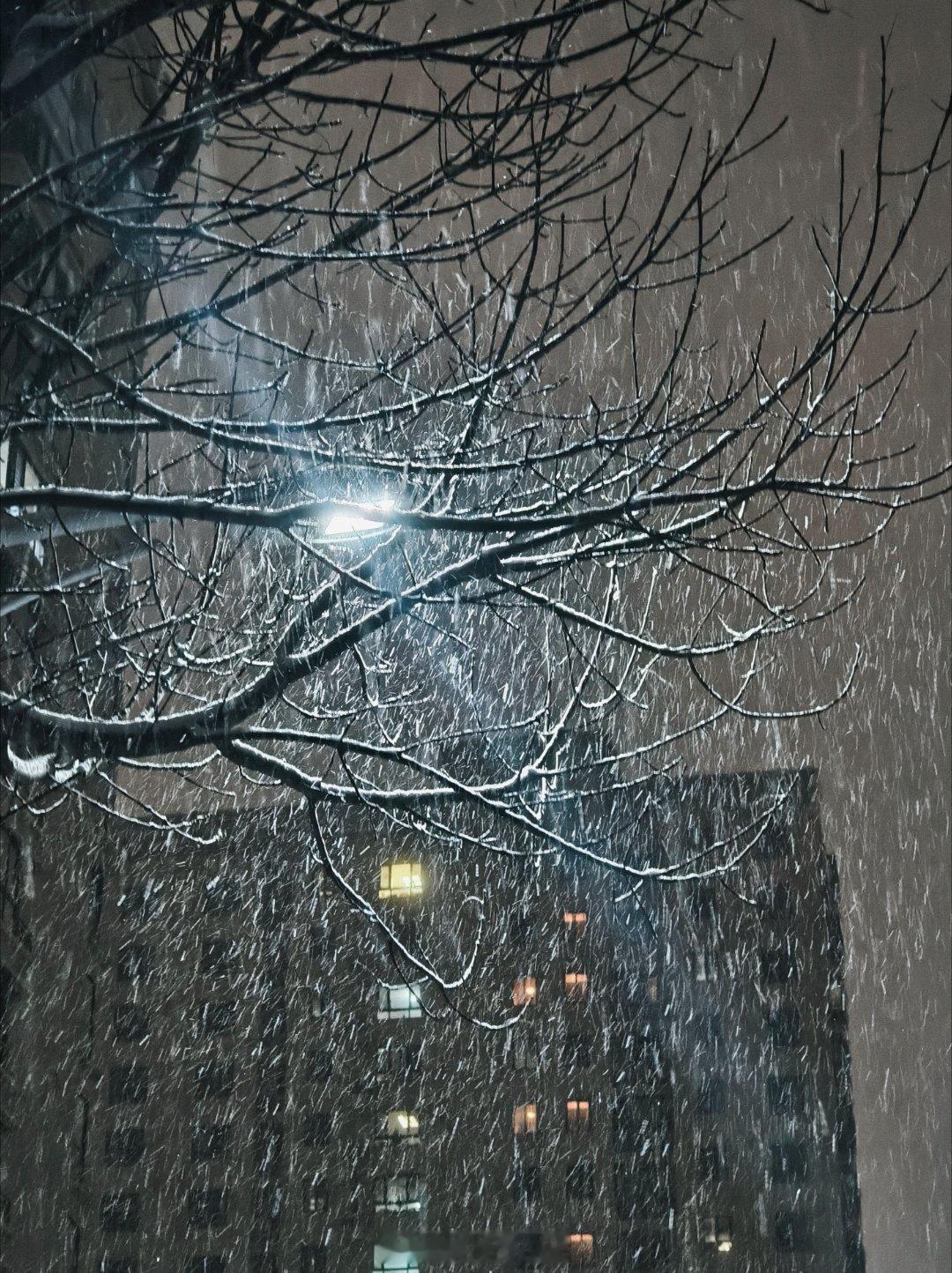 这雪下的还挺大 