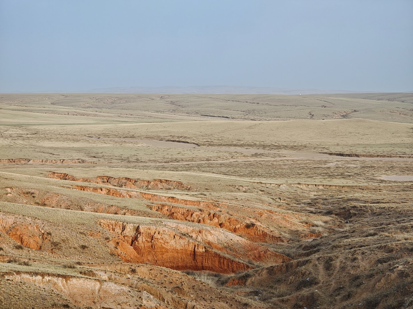 大地苔原+绒纱峡谷