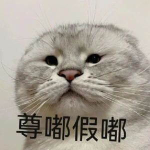 要说这里有多热，只是早上六点多去搬了个砖，也就两个小时，就像是被雨淋了后的落汤鸡