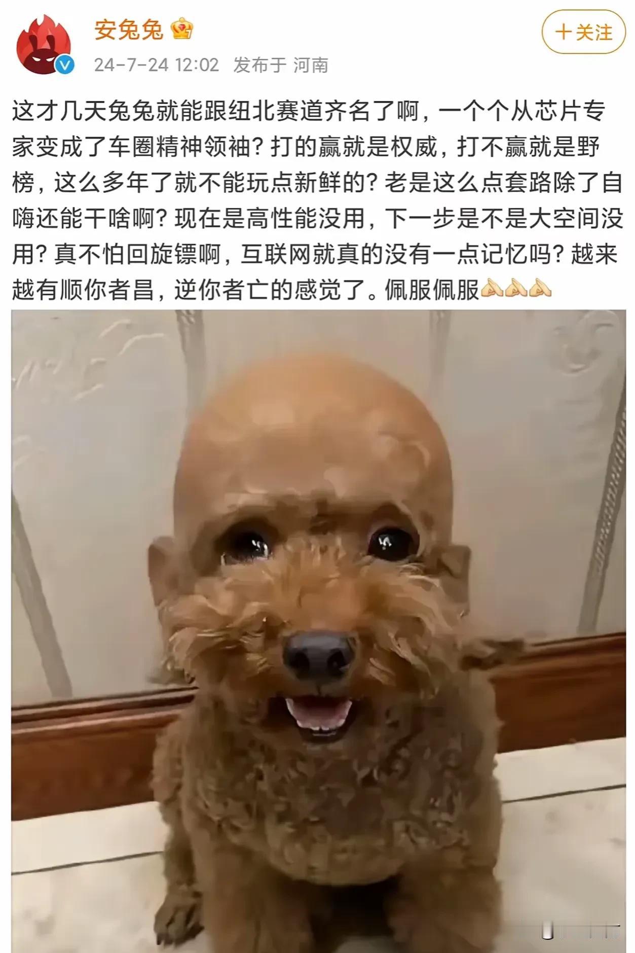 安兔兔反水了
指名道姓的骂股东啊[我想静静]