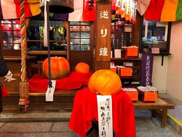 南瓜于战国时代传入日本    天文十九年（1550）葡萄牙船来到丰后（大分县），