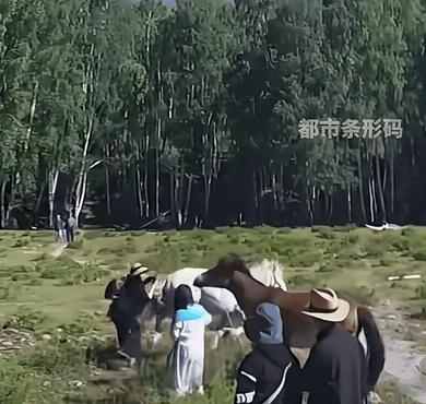“不作死就不会死！”新疆阿勒泰，两个女游客不听劝，执意要摸马屁股，没想到，马转过