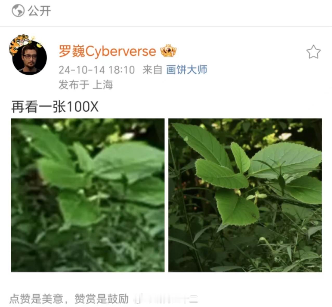 老罗发的这个，如果真的是Magic7系列的拍照，无论是不是“AI”出来的，都基本
