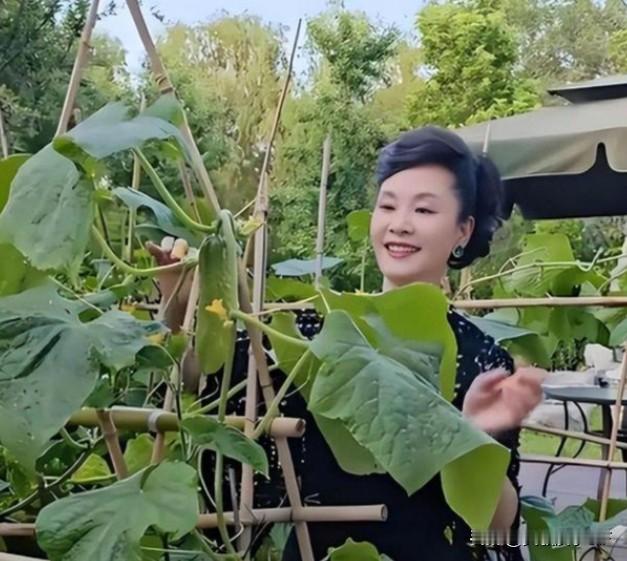 说起经典老歌，很多人都忘不了1993年火遍全国的《纤夫的爱》，“妹妹你坐船头，哥