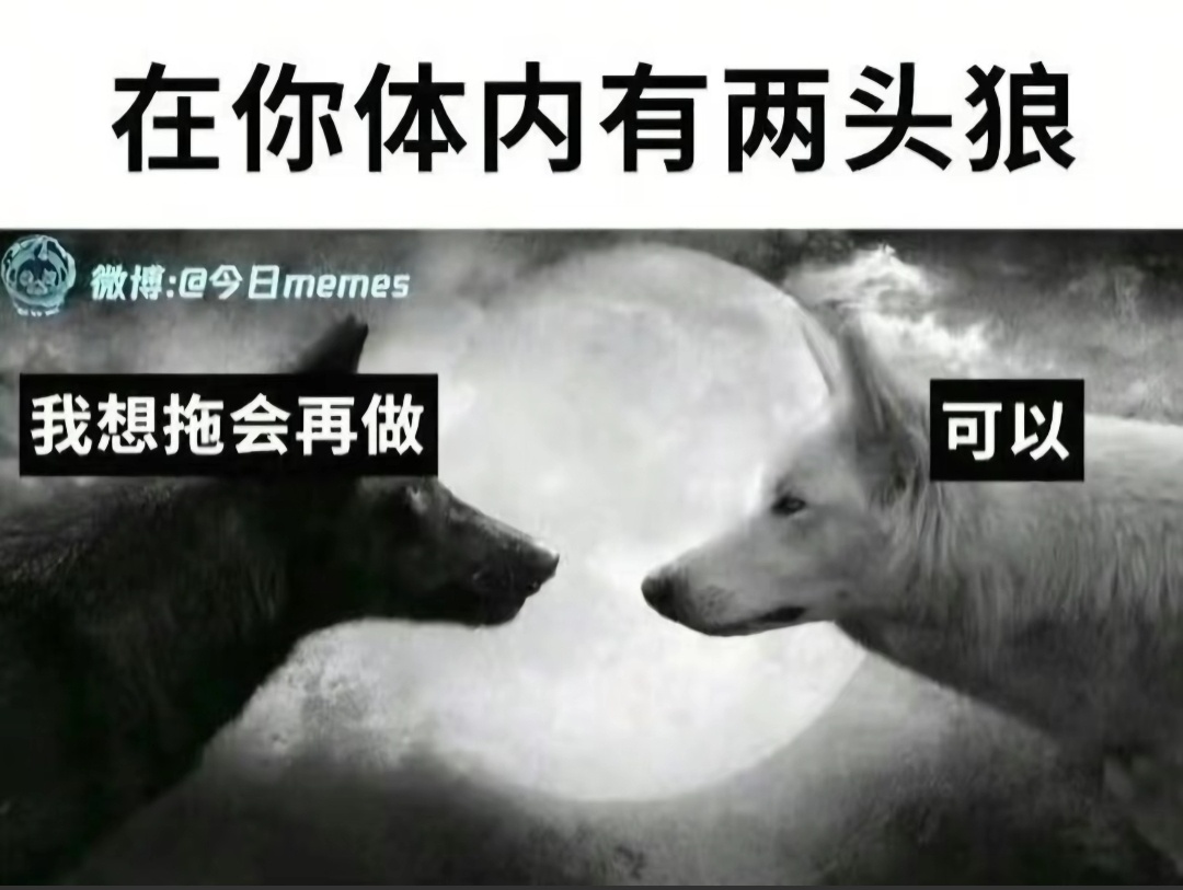 保存了一堆美食教程……妄想成为一个厨房小天才 
