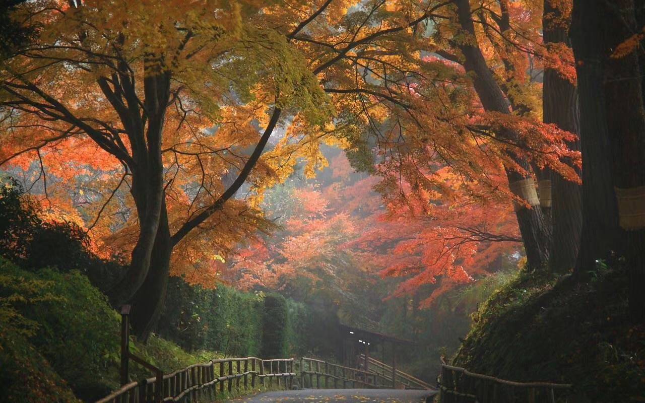 人生本来如此：喜欢的事自然可以坚持，不喜欢的怎么也长久不了。——村上春树 