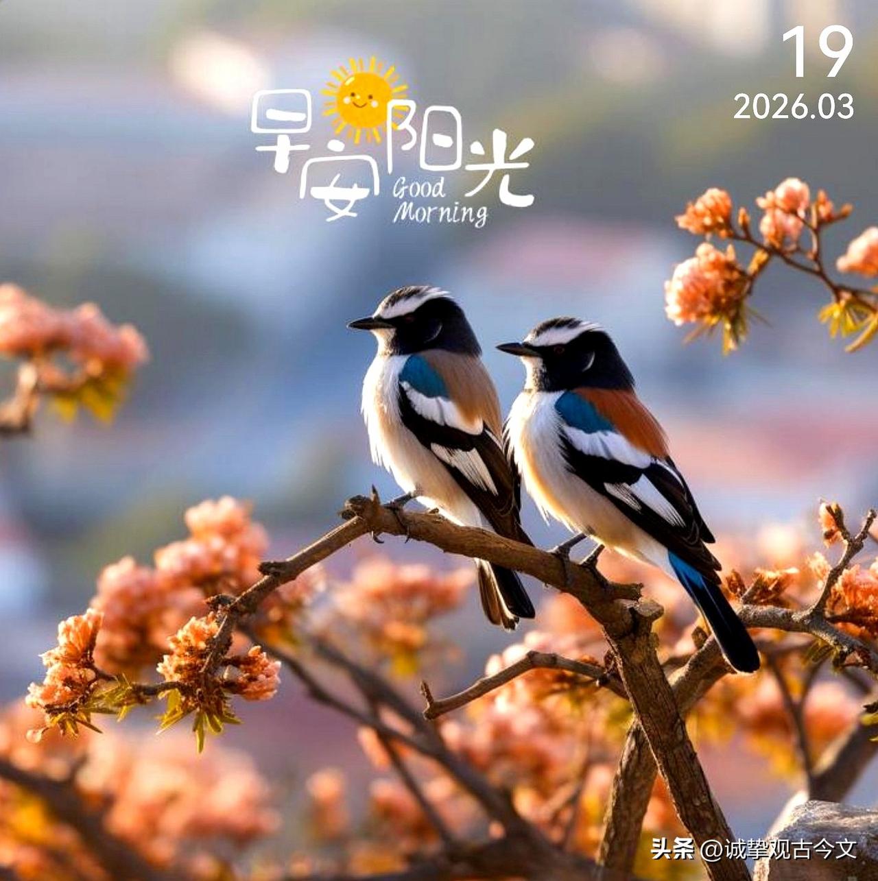 清晨的风轻轻拂过脸庞，带着泥土与花香的气息，仿佛在说：新的一天，值得全力以赴。愿