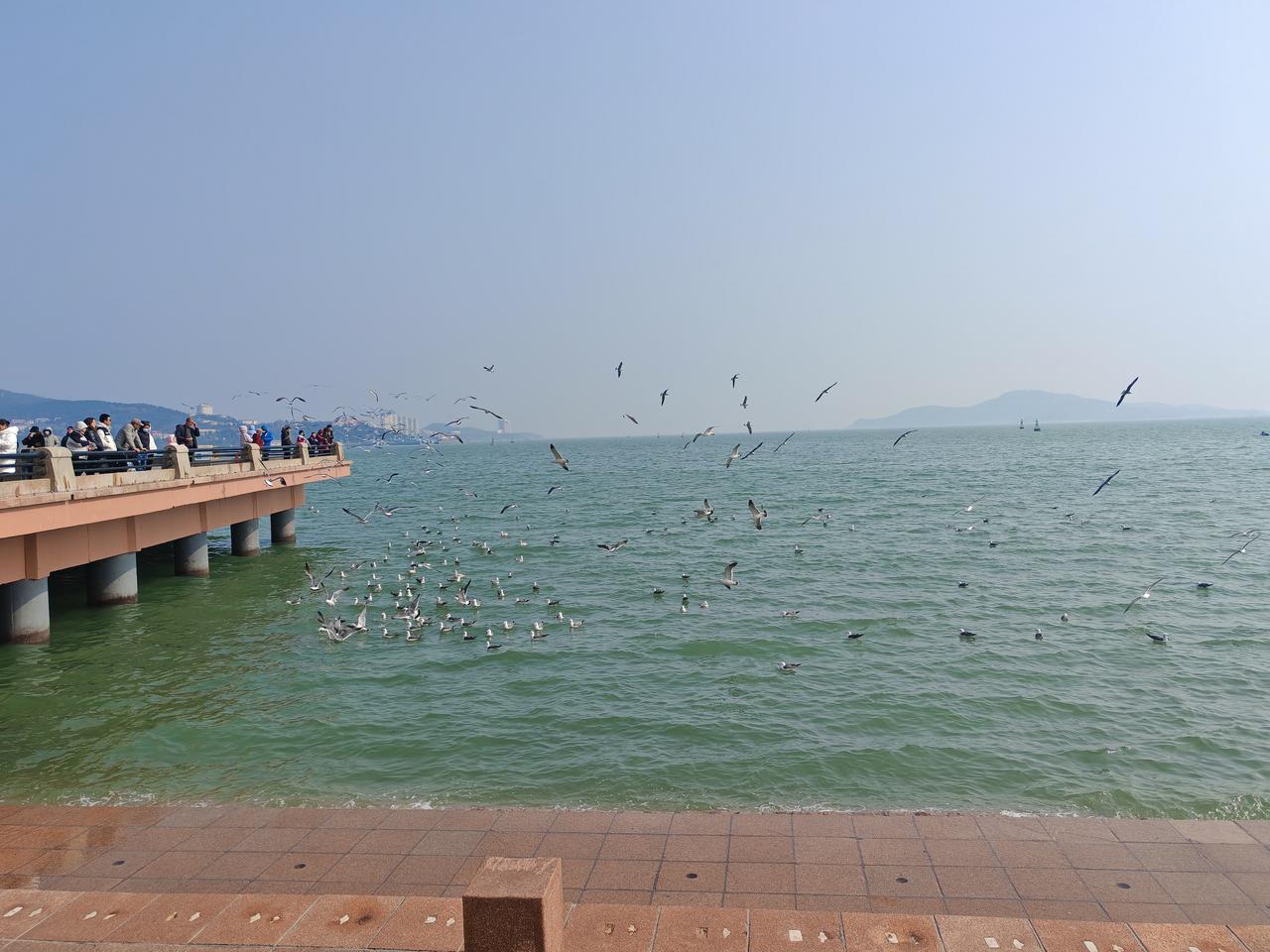 新年爱好打卡今天又去幸福门和环翠楼打卡了。